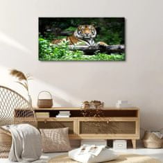 COLORAY.SK Obraz canvas Lesné zvieracie mačka tiger 100x50 cm