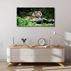 COLORAY.SK Obraz canvas Lesné zvieracie mačka tiger 100x50 cm