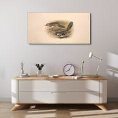 COLORAY.SK Obraz Canvas zvieratá vtákov 100x50 cm