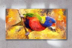 COLORAY.SK Skleneny obraz Pobočka zvieracie vták papagája 120x60 cm