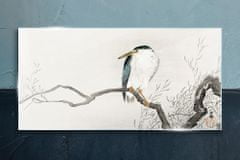 COLORAY.SK Sklenený obraz Pobočky zvierat vtákov 100x50 cm