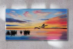 COLORAY.SK Skleneny obraz Západ slnka vtáčieho jazera 140x70 cm