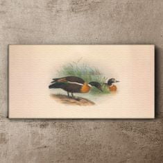 COLORAY.SK Obraz Canvas Vtáky béžová zvieratá 140x70 cm