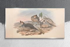 COLORAY.SK Skleneny obraz Vtáky zvieratá kreslenie 140x70 cm
