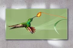 COLORAY.SK Skleneny obraz Abstraktné zvieracie vták 100x50 cm