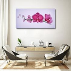 COLORAY.SK Obraz Canvas Akvarel kvetina vetva orchidea 120x60 cm