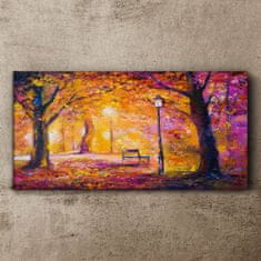 COLORAY.SK Obraz canvas Lesný park Stromy lampa lavica 140x70 cm