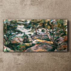 COLORAY.SK Obraz Canvas Skaly v lese Cézanne 120x60 cm