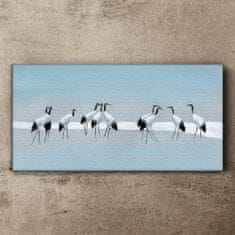 COLORAY.SK Obraz canvas zvieratá vtáky 120x60 cm