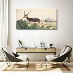 COLORAY.SK Obraz Canvas Gazelle zvieratá kreslenie 120x60 cm