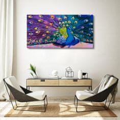COLORAY.SK Obraz canvas Zvieracie vták páv perie 120x60 cm