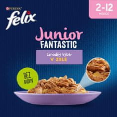 Felix FANTASTIC junior multipack kura, losos v želé 48x85 g