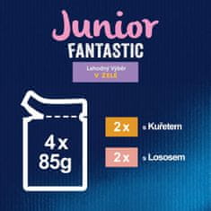 Felix FANTASTIC junior multipack kura, losos v želé 48x85 g