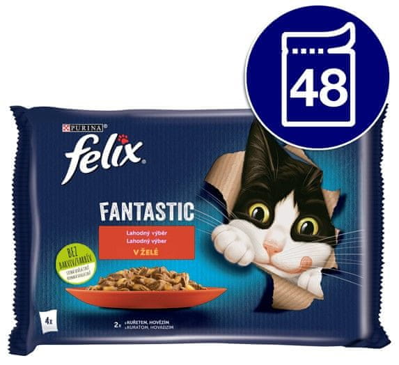 Felix FANTASTIC multipack hovädzie, kura v želé 48x85 g