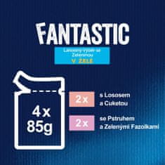 Felix FANTASTIC multipack losos, pstruh so zeleninou 48x85 g