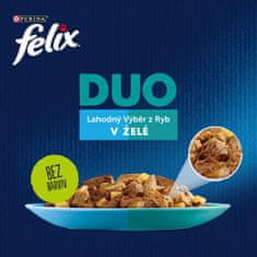 Felix FANTASTIC Duo multipack lahodný výber v želé 48x85 g