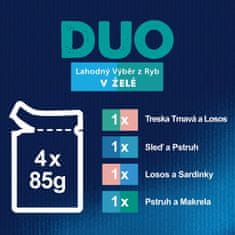 Felix FANTASTIC Duo multipack lahodný výber v želé 48x85 g