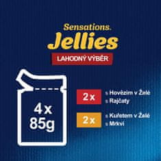 Felix SENSATIONS multipack hovädzie, kura v želé 48x85 g