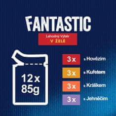 Felix FANTASTIC multipack lahodný výber v želé 72x85 g