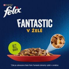 Felix FANTASTIC multipack lahodný výber v želé 72x85 g