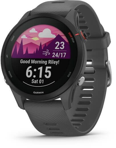 Garmin Forerunner 255, Slate Gray