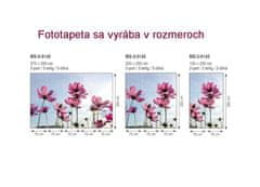 Dimex fototapeta MS-2-0145 Lúčne kvety 150 x 250 cm