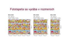 Dimex fototapeta MS-2-0345 Domy v meste 150 x 250 cm