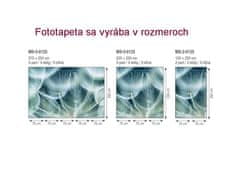 Dimex fototapeta MS-2-0123 Veľké púpavy 150 x 250 cm