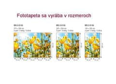 Dimex fototapeta MS-2-0134 Žlté kvety 150 x 250 cm