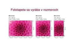 Dimex fototapeta MS-5-0132 Ružová georgína 375 x 250 cm