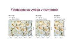 Dimex fototapeta MS-2-0137 Biele ruže 150 x 250 cm