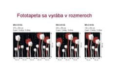 Dimex fototapeta MS-2-0155 Maľované kvety v čiernom 150 x 250 cm