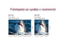 Dimex fototapeta MS-5-0217 Žralok 375 x 250 cm