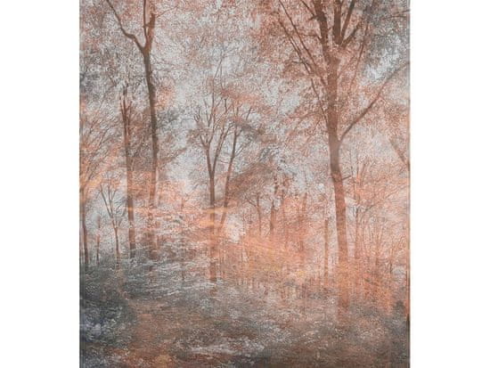 Dimex fototapeta ART MS-3-0390 Farebný les 225 x 250 cm