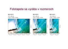 Dimex fototapeta MS-5-0213 Oceánska vlna 375 x 250 cm