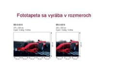 Dimex fototapeta MS-5-0310 Formula 375 x 250 cm
