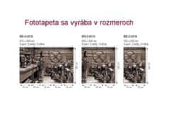 Dimex fototapeta MS-3-0319 Vintage garáž 225 x 250 cm