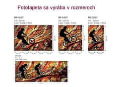 Dimex fototapeta MP-2-0327 panoráma - Bicykel v červenom 375 x 150 cm