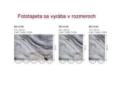 Dimex Fototapeta MS-2-0160 Štruktúra stromu 150 x 250 cm