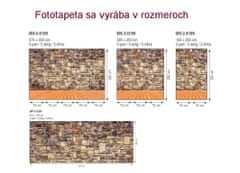 Dimex Fototapeta MP-2-0169 panoráma - Kamenná stena 375 x 150 cm