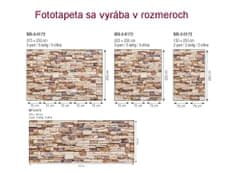 Dimex Fototapeta MS-5-0172 Kamenný obklad 375 x 250 cm