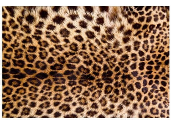 Dimex Fototapeta MS-5-0184 Leopardia koža 375 x 250 cm