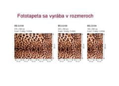 Dimex Fototapeta MS-5-0184 Leopardia koža 375 x 250 cm