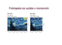 Dimex fototapeta MS-3-0250 Nočná obloha 225 x 250 cm