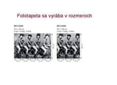 Dimex fototapeta MS-5-0260 Žena na bicykli 375 x 250 cm