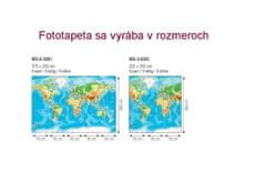 Dimex fototapeta MS-3-0261 Mapa sveta 225 x 250 cm