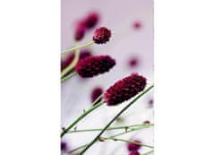 Dimex fototapeta MS-2-0141 Fialové kvety 150 x 250 cm