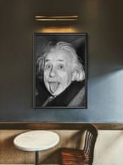 Vintage Posteria Poster Poster Albert Einstein vypadol jazyk A2 - 42x59,4 cm