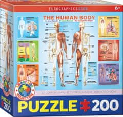 EuroGraphics Puzzle Ľudské telo 200 dielikov