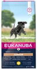 Eukanuba Junior Large Breed 15 kg